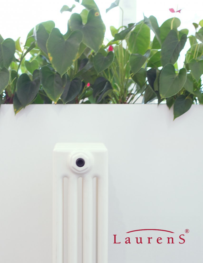 Image Alt Text